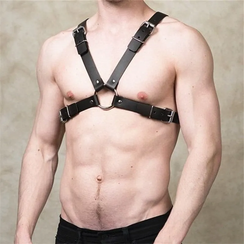 Adjustable Harnesses