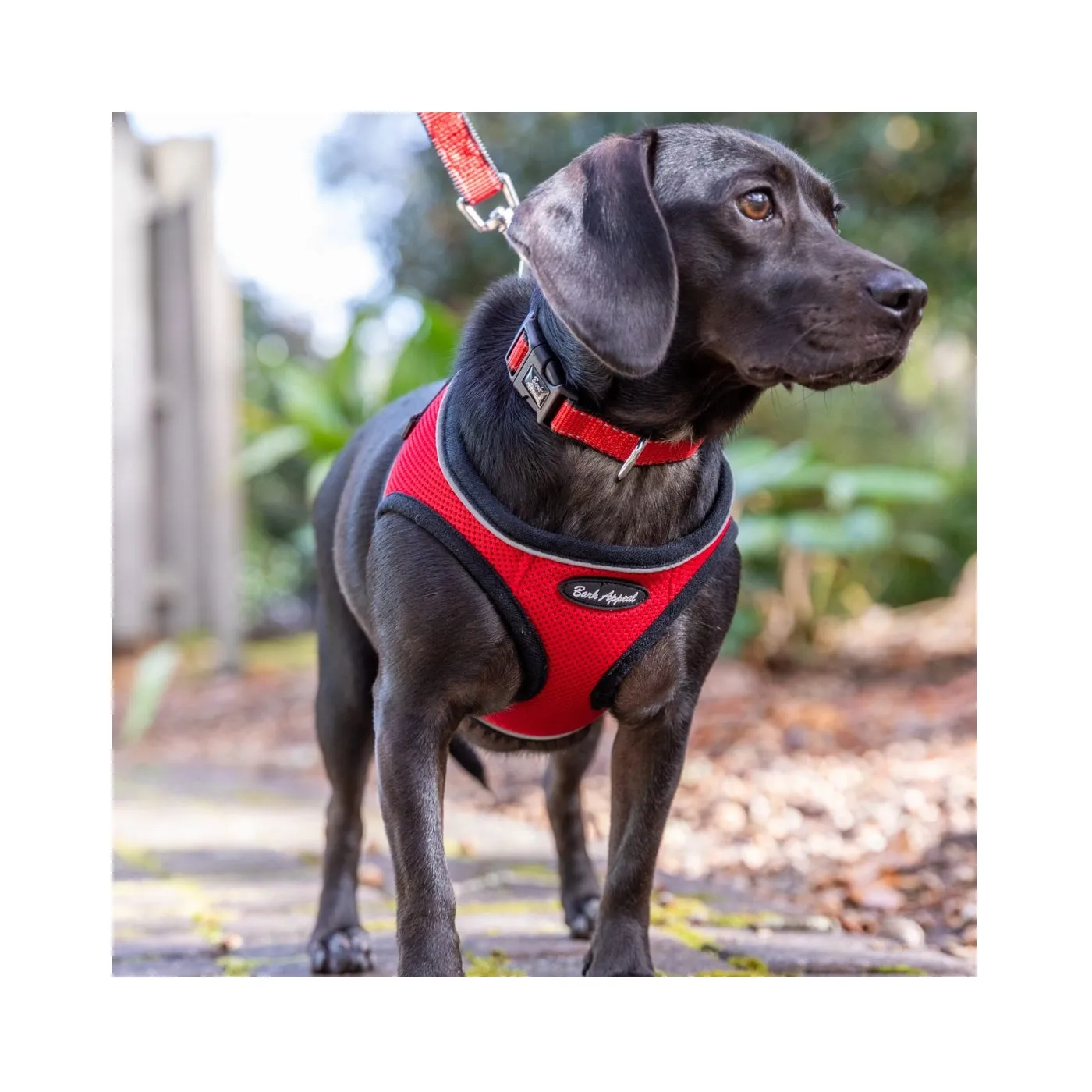 Bark Appeal Step-In Mesh Harness Red