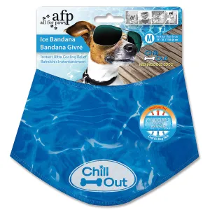 Chill Out Cooling Bandana