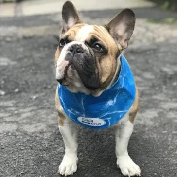 Chill Out Cooling Bandana