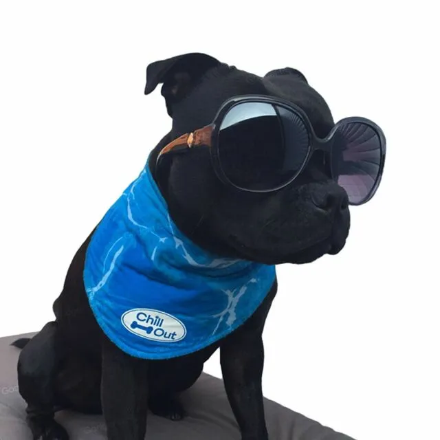Chill Out Cooling Bandana