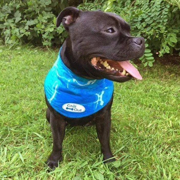 Chill Out Cooling Bandana