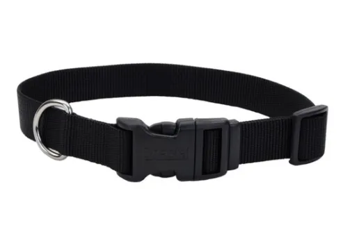 Coastal Adjustable Nylon Dog Collar with Plastic Buckle 3/8th in - XS