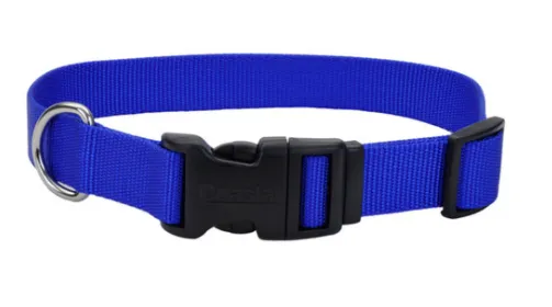 Coastal Adjustable Nylon Dog Collar with Plastic Buckle 3/8th in - XS