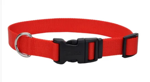 Coastal Adjustable Nylon Dog Collar with Plastic Buckle 3/8th in - XS