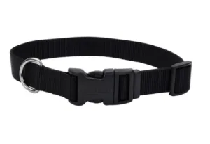Coastal Adjustable Nylon Dog Collar with Plastic Buckle 3/8th in - XS
