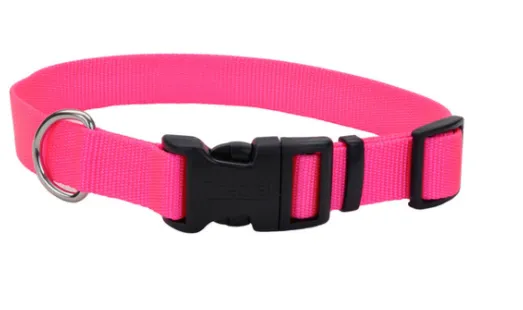Coastal Adjustable Nylon Dog Collar with Plastic Buckle 3/8th in - XS