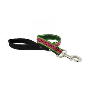 Dog Leash 1" Wide X 6' Long Watermelon