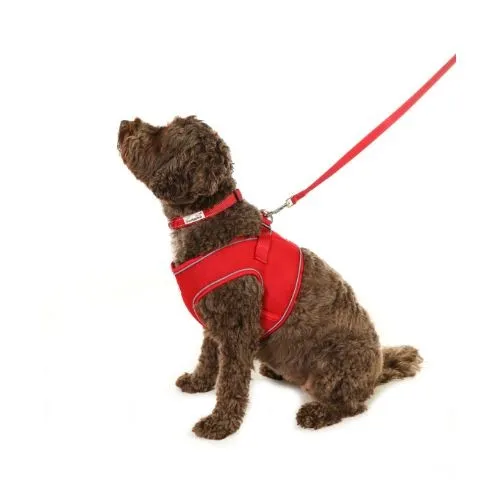 Doodlebone Snappy Dog Harness Ruby Size 3
