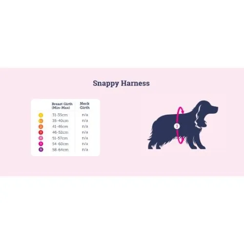 Doodlebone Snappy Dog Harness Ruby Size 3