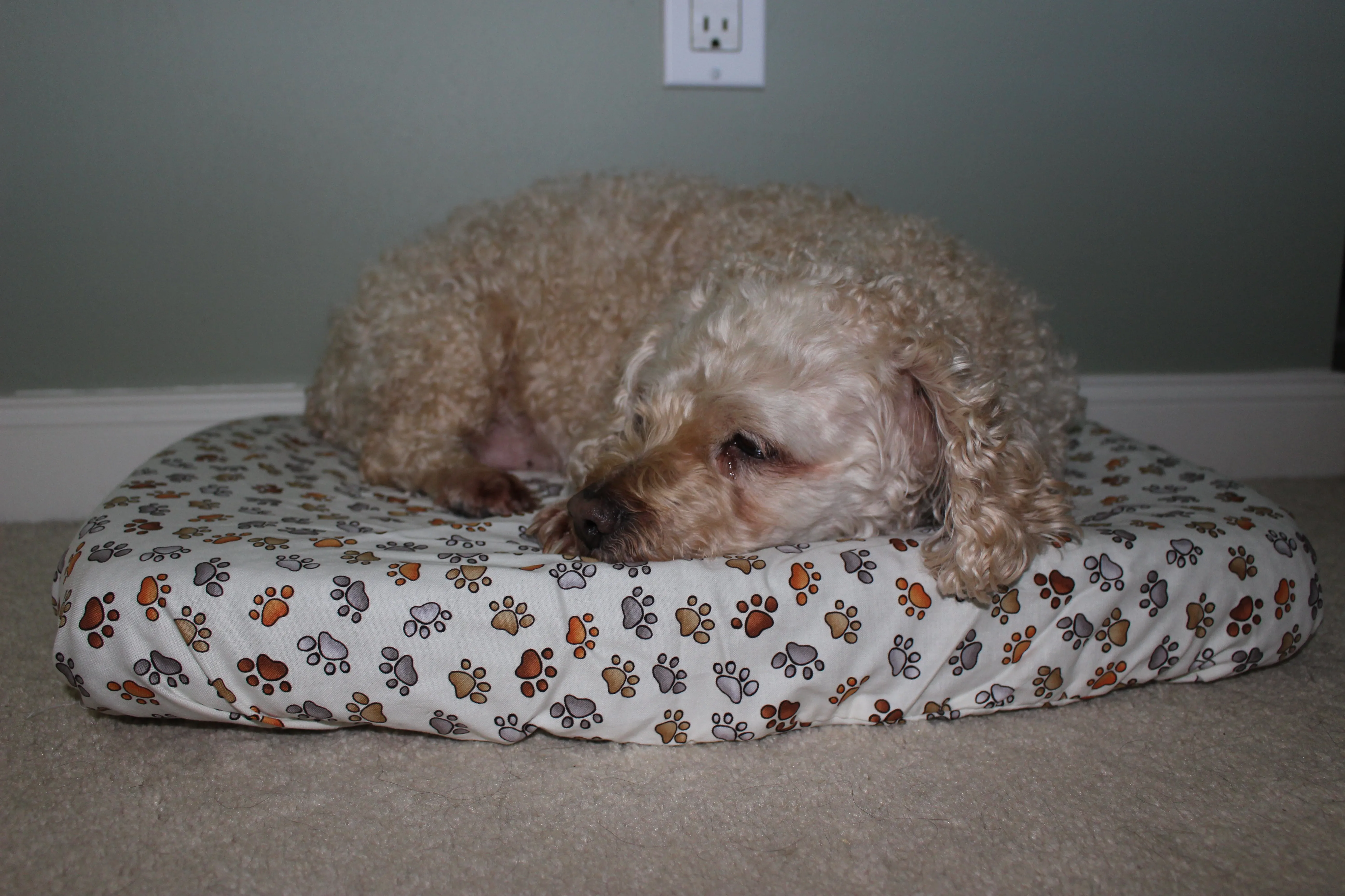 Flat Pet Bed Cover - Paws Everywhere