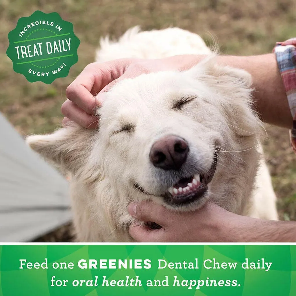 GREENIES Fresh Mint Regular Dental Treats, 12 count