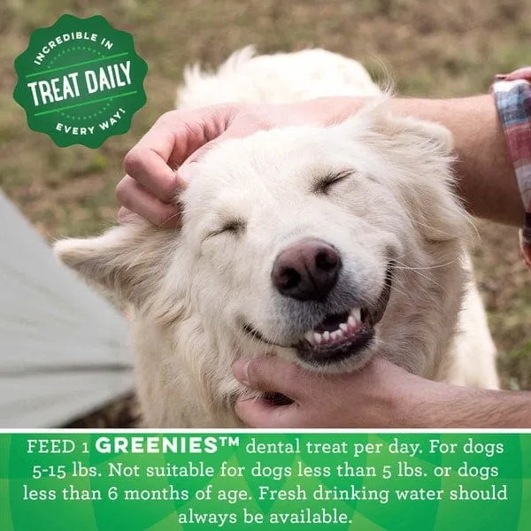 Greenies Fresh Teenie Adult Dog Dental Treats, 12oz