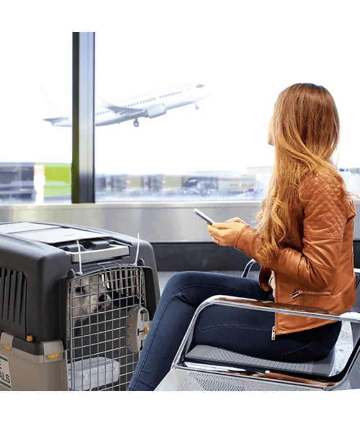 IATA Stefanplast Gulliver With Metal Door