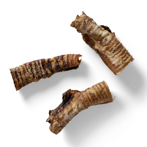 NAW Beef Trachea -1kg