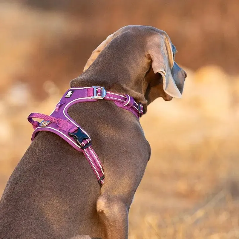 No Pull Dog Harness – Comfortable, Secure & Easy to Use