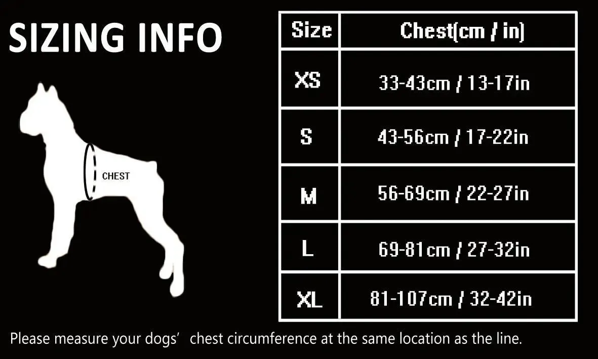 No Pull Dog Harness – Comfortable, Secure & Easy to Use