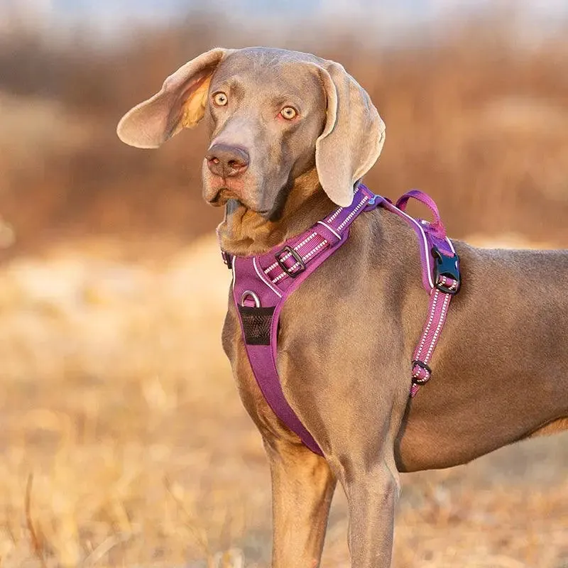 No Pull Dog Harness – Comfortable, Secure & Easy to Use