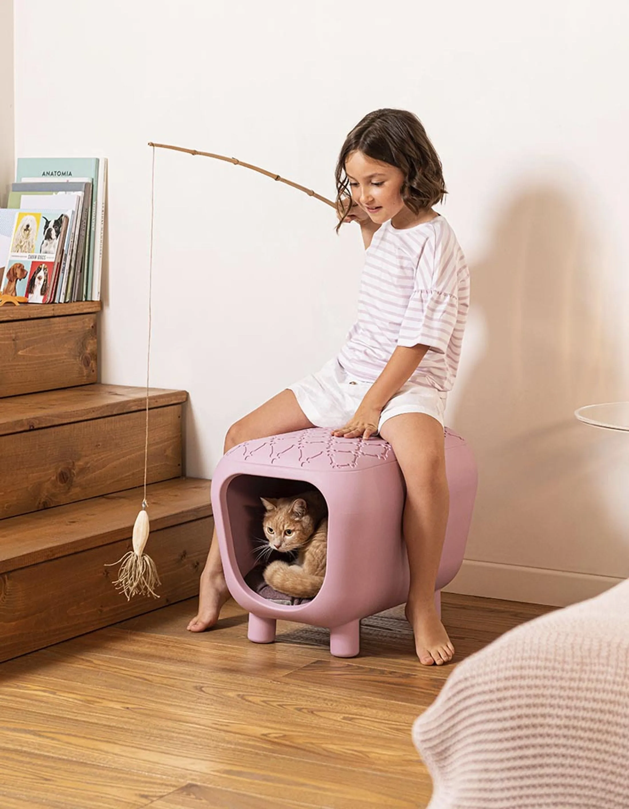 Pancuccia Pet Bench