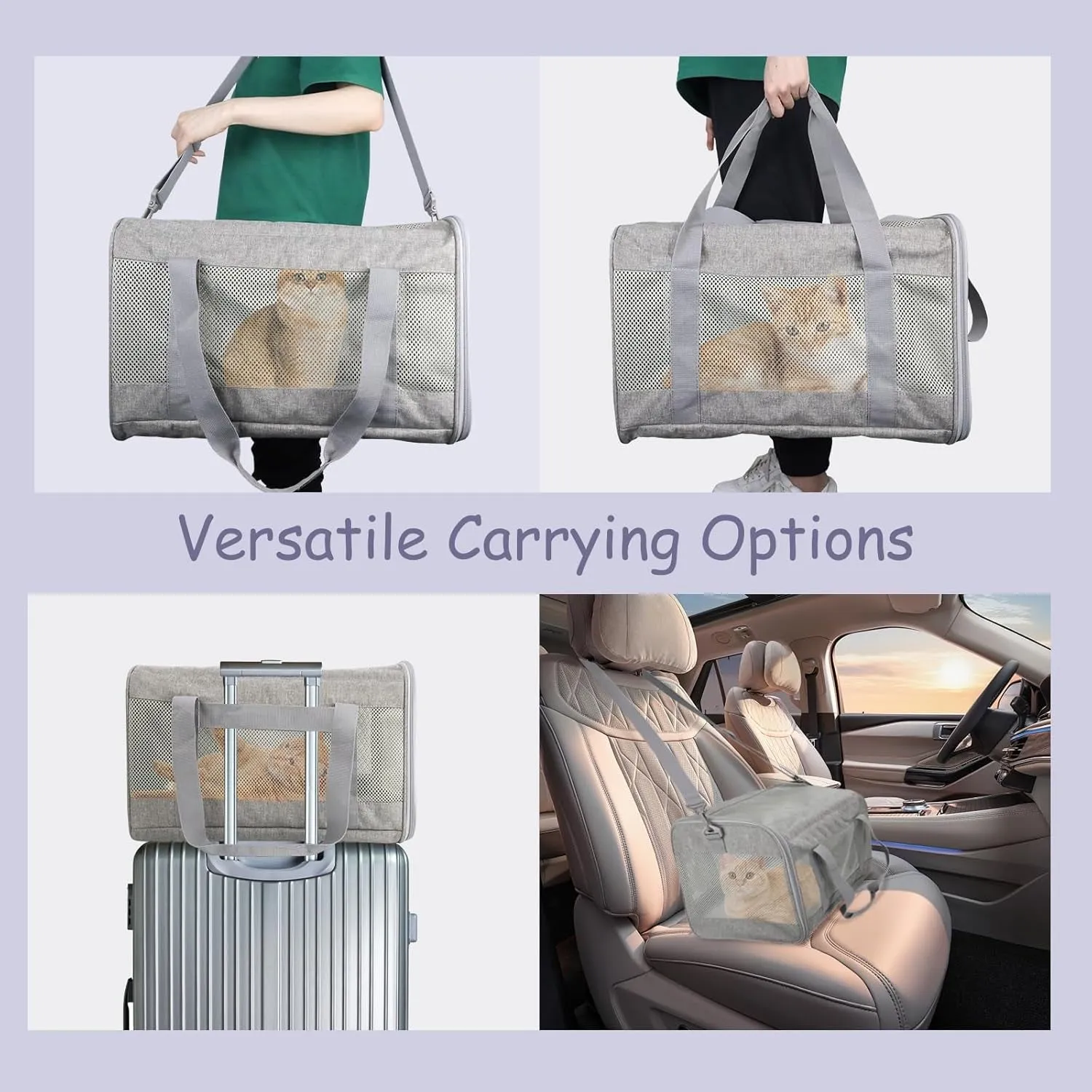 Pet Carrier Airline Approved Pet Carrier Dog Carriers for Small Dogs, Cat Carriers for Medium Cats Small Cats, Small Pet Carrier Small Dog Carrier Airline Approved Dog Cat Pet Travel Carrier