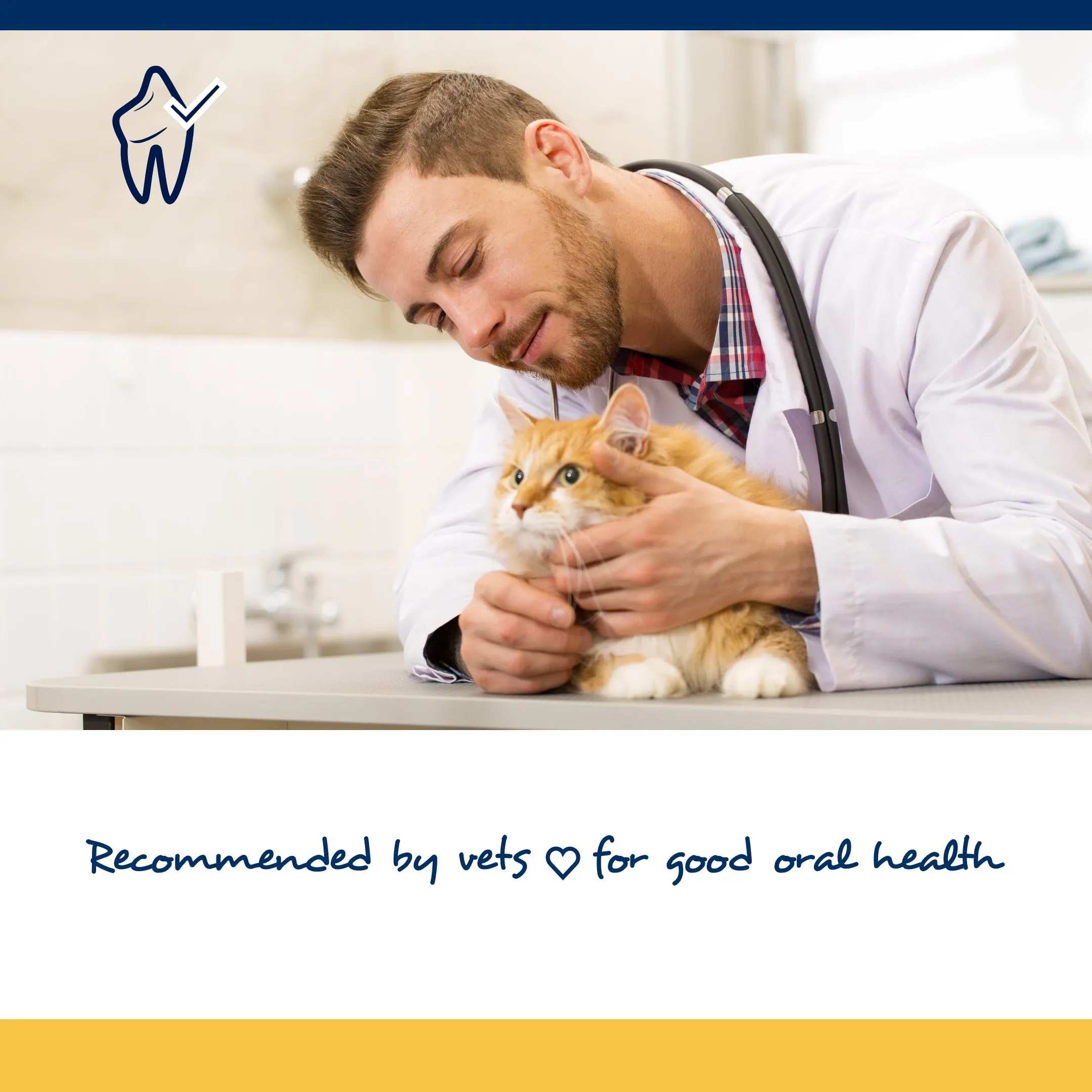 ProDen PlaqueOff® Cat Soft Chew