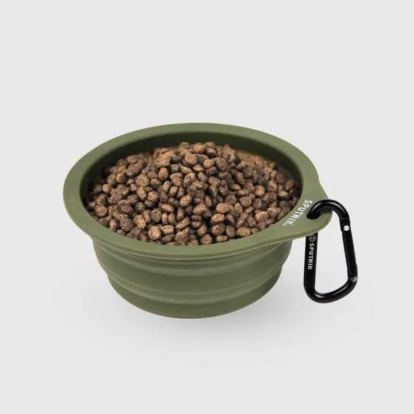 Sputnik Collapsible Green Pet Bowl