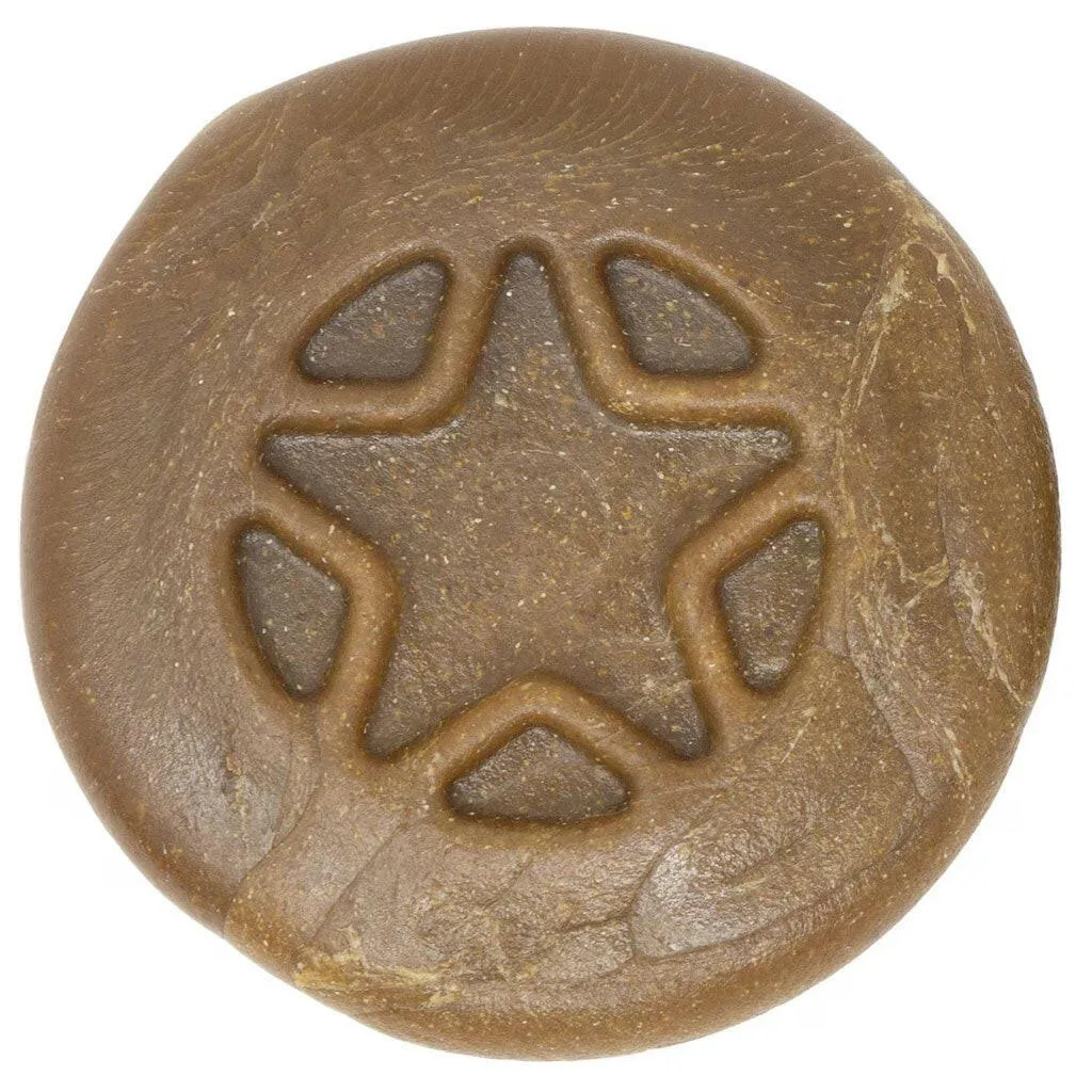 Starmark Everlasting Treat PUCKS Chicken Flavor Dental Dog Chews