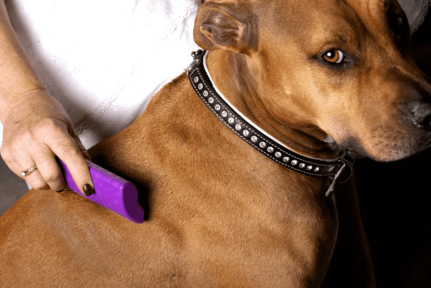 The PROFESSIONAL by SleekEZ® Grooming Tool