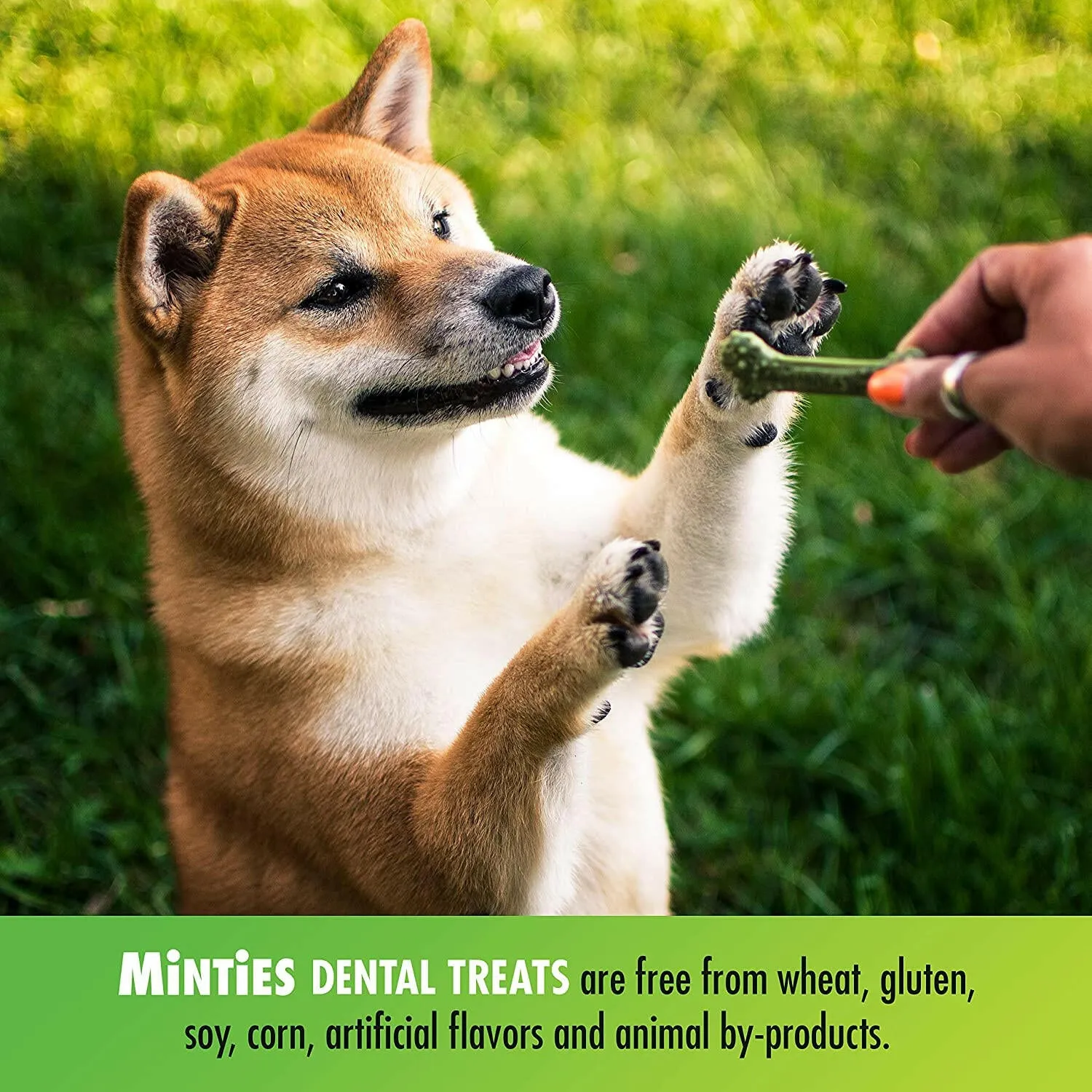 VetIQ Minties Dental Treats for Medium & Large Dogs