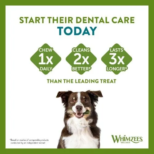 Whimzees Hedgehog Dental Dog Chew Treat Pack 76mm Large 6 Pack
