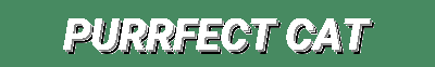 Purrfect Cat Essentials – Cozy Hammocks, Scratching Posts, Catnip Toys & Soft Litter Mats